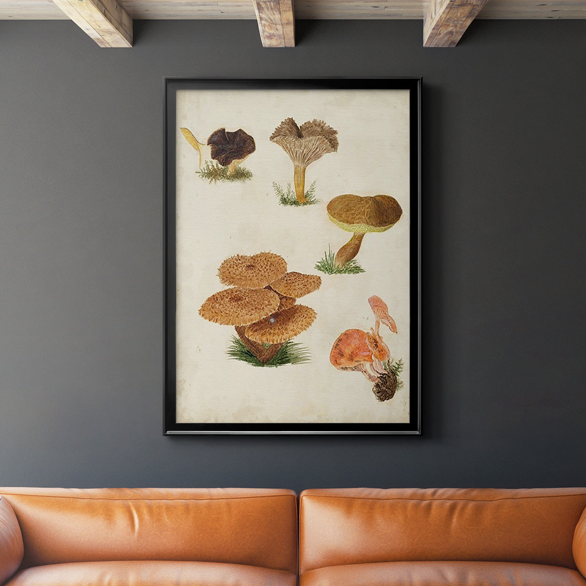 Mushroom Species V - Modern Framed Canvas Print