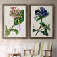 Antique Floral Folio III - Premium Framed Canvas 2 Piece Set - Ready to Hang