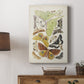 Antique Moths I - Canvas Art Print