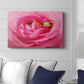 Hanging On VIII - Canvas Art Print