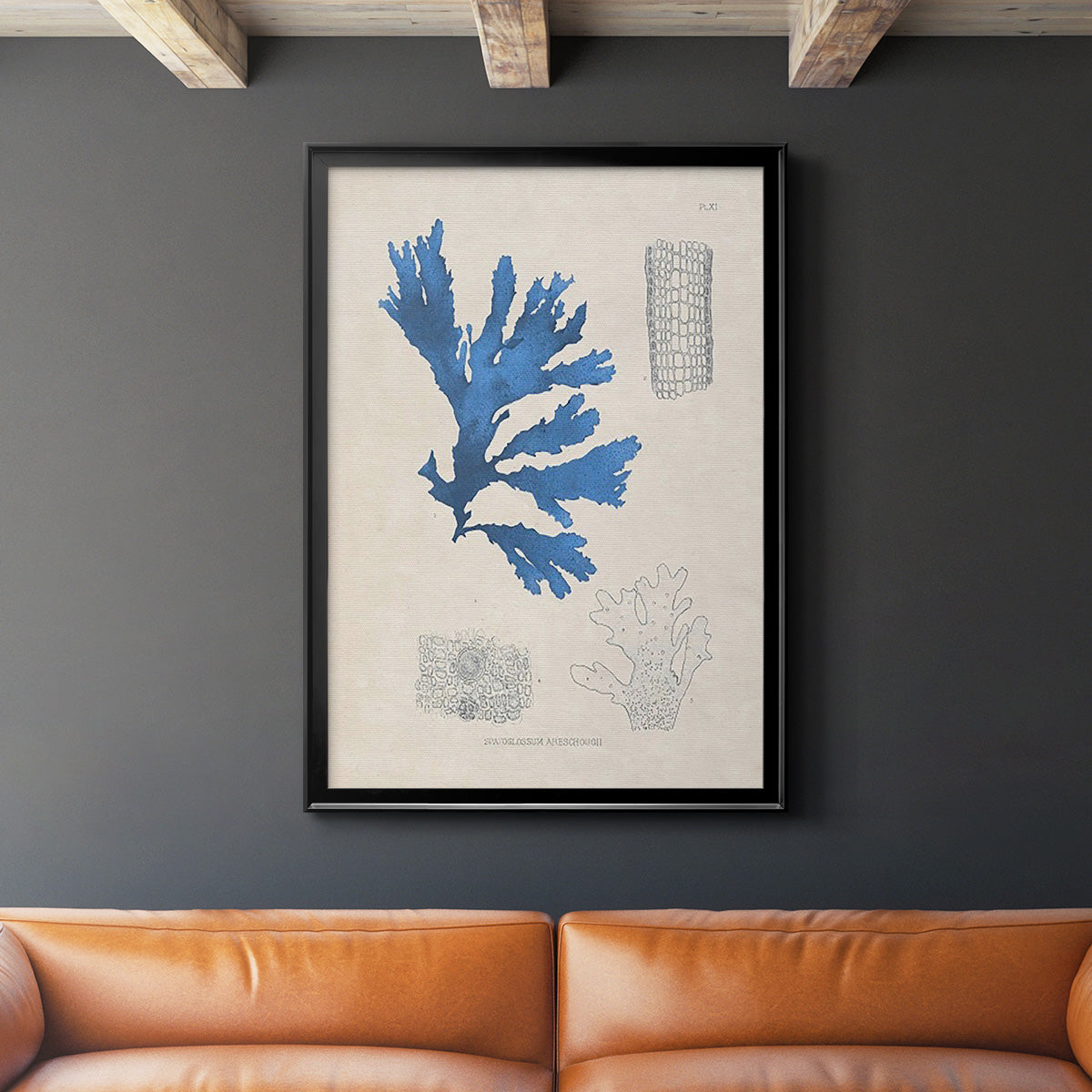 Blue Marine Algae VIII - Modern Framed Canvas Print