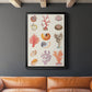 Coral & Shell Collage I -  Framed Canvas Print