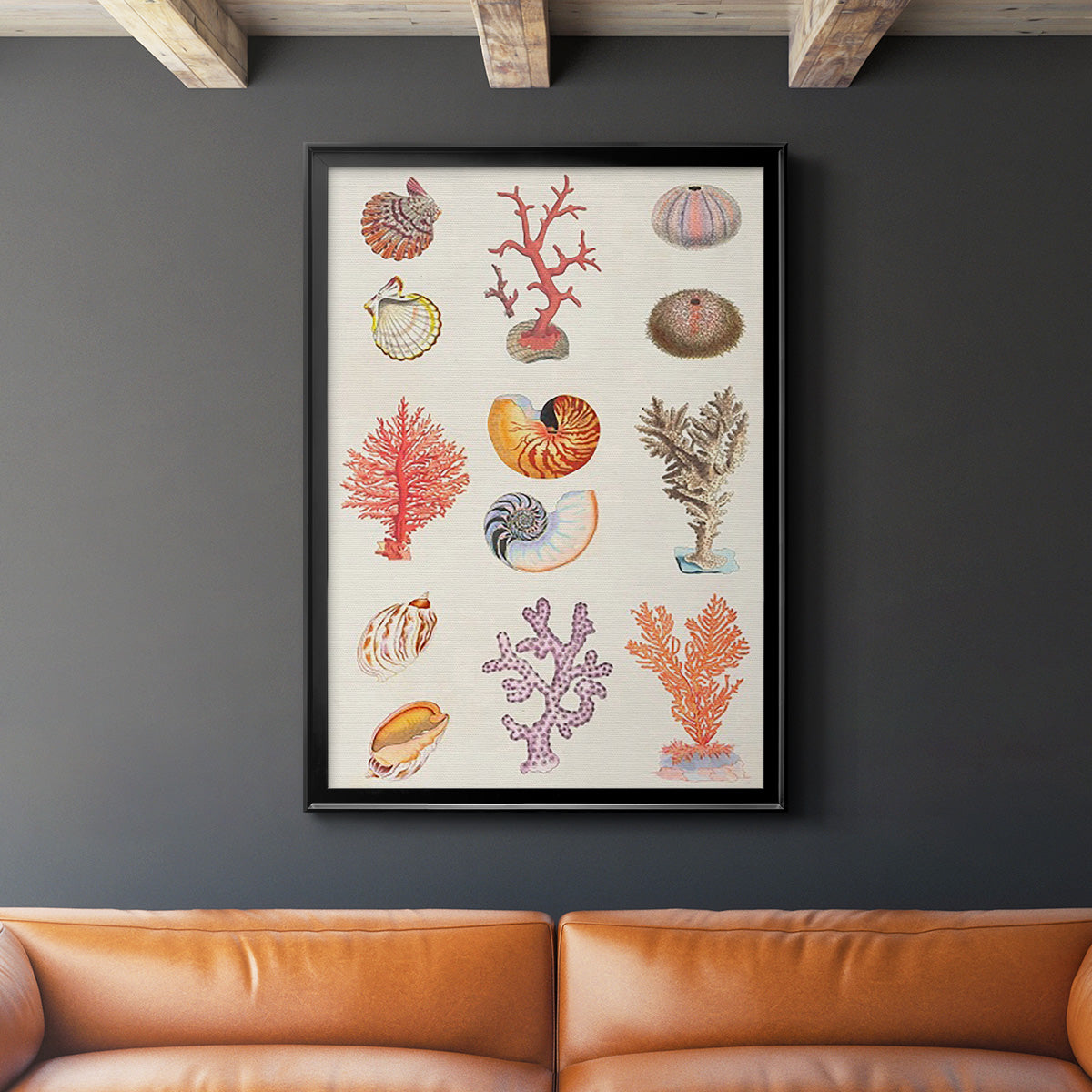 Coral & Shell Collage I -  Framed Canvas Print