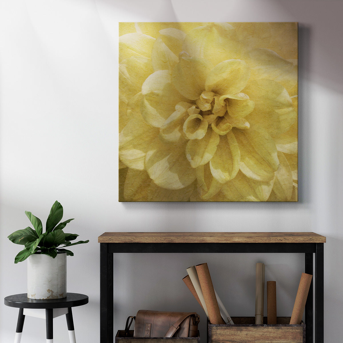 Wall Flower II-Premium Gallery Wrapped Canvas - Ready to Hang