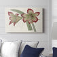 Amaryllis Varietals IV - Canvas Art Print