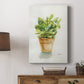 Succulent I - Canvas Art Print