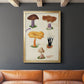 Mushroom Species VII - Modern Framed Canvas Print