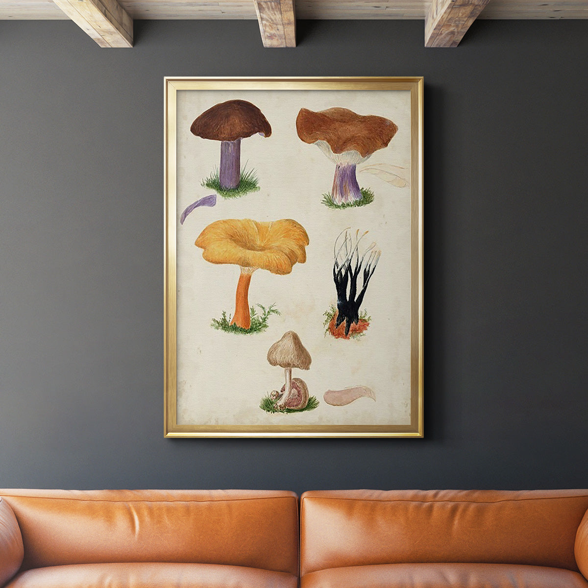 Mushroom Species VII - Modern Framed Canvas Print