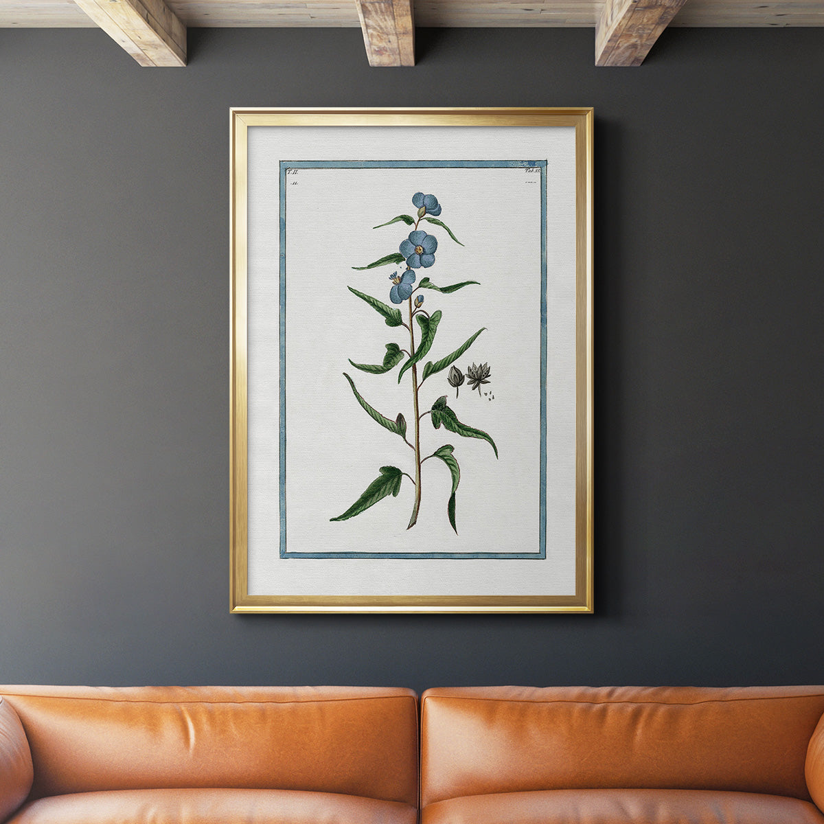 Shabby Chic Botanical I - Modern Framed Canvas Print