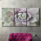 Three-panel canvas wall art featuring close up succulent photography, displayed in a living room above a suede accent chair.