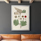 Leaves & Berries IV - Modern Framed Canvas Print