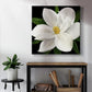 Midnight Magnolia II - Canvas Art Print