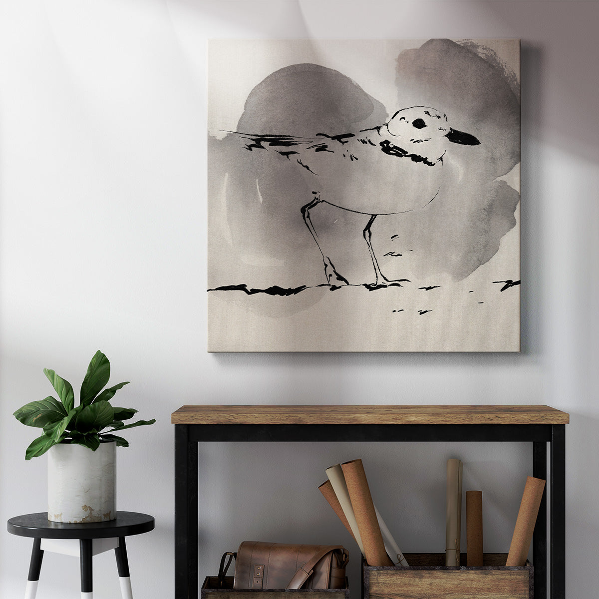 Inky Plover I - Canvas Art Print