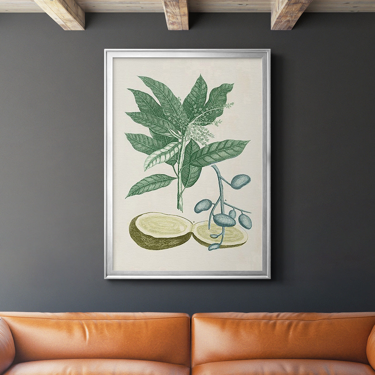 Buchoz Tropicals IV - Modern Framed Canvas Print