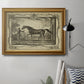 Distinguished Horses IV Premium Framed Canvas- Ready to Hang