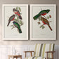 Elegant Trogons V - Premium Framed Canvas 2 Piece Set - Ready to Hang