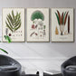 Botanical Society Ferns I - Framed Premium Gallery Wrapped Canvas L Frame 3 Piece Set - Ready to Hang