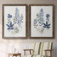 Fern Study I   - Premium Framed Canvas 2 Piece Set - Ready to Hang