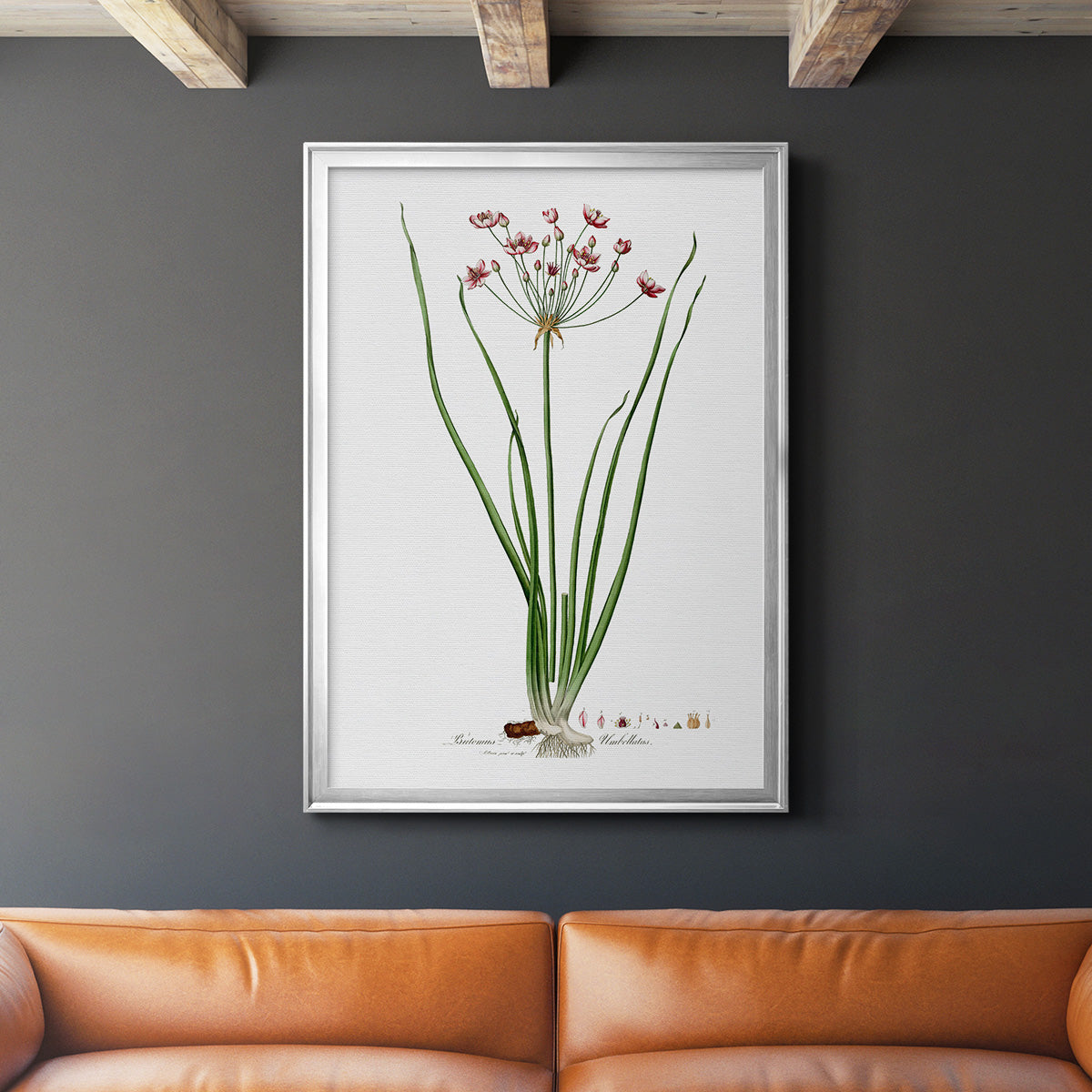 Rose Botanical II - Modern Framed Canvas Print