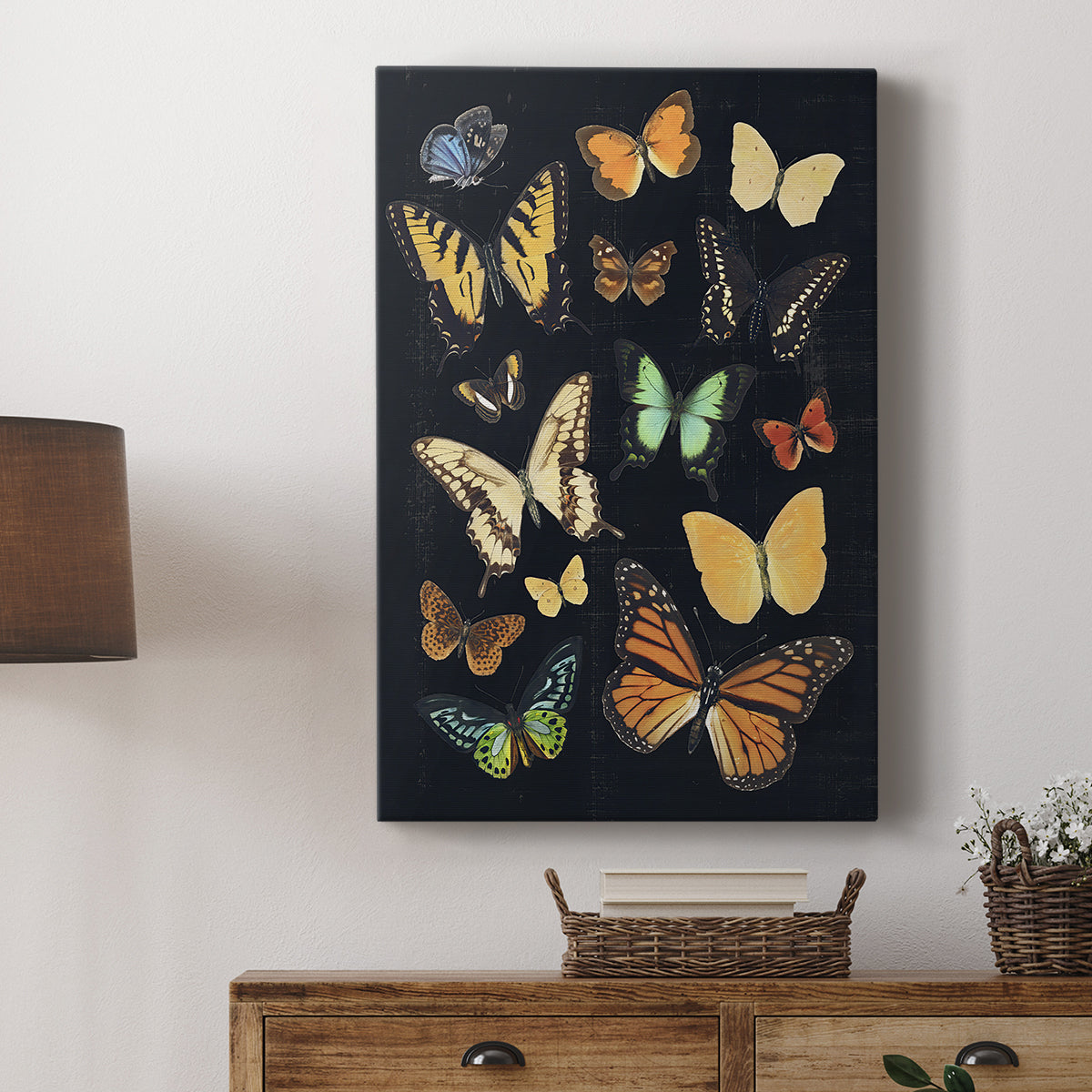 Collected Flutter III - Canvas Art Print