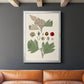 Leaves & Berries IV - Modern Framed Canvas Print