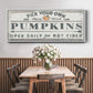 Pumpkin Patch I - Floater Framed Canvas Print