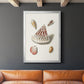 Pastel Knorr Shells VII - Modern Framed Canvas Print
