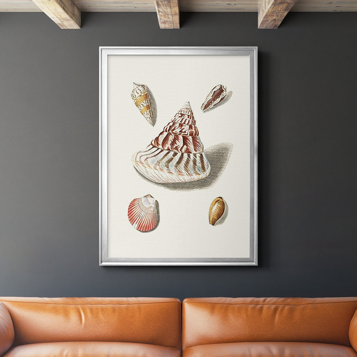 Pastel Knorr Shells VII - Modern Framed Canvas Print