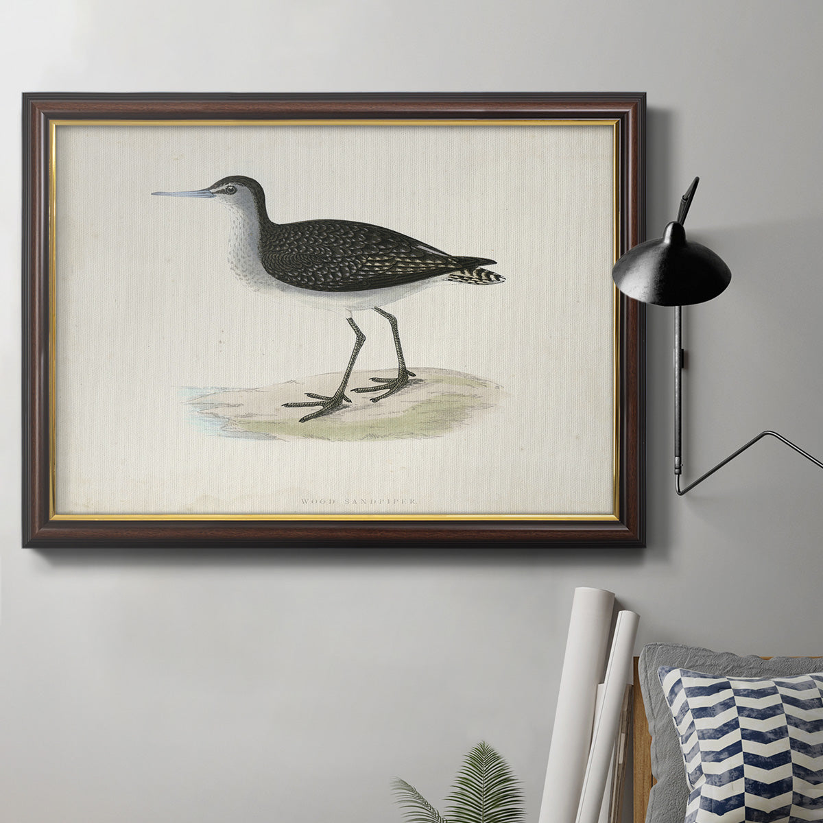 Morris Sandpipers VIII Premium Framed Canvas- Ready to Hang