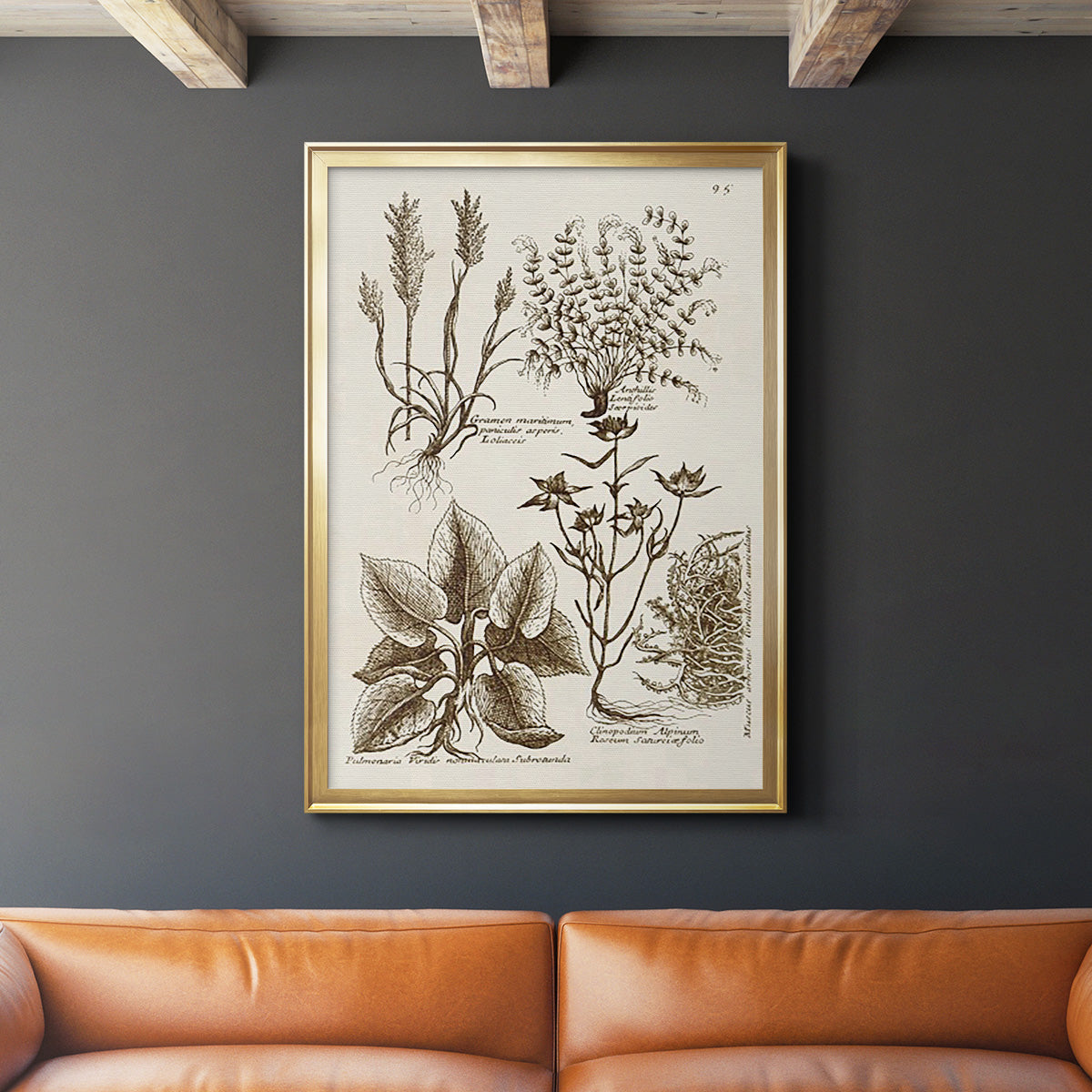 Sepia Botanical Journal VII - Modern Framed Canvas Print
