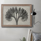 Vintage botanical plant study photograph by Karl Blossfeldt in an ornate traditional silver frame displayed in a neutral interior setting.