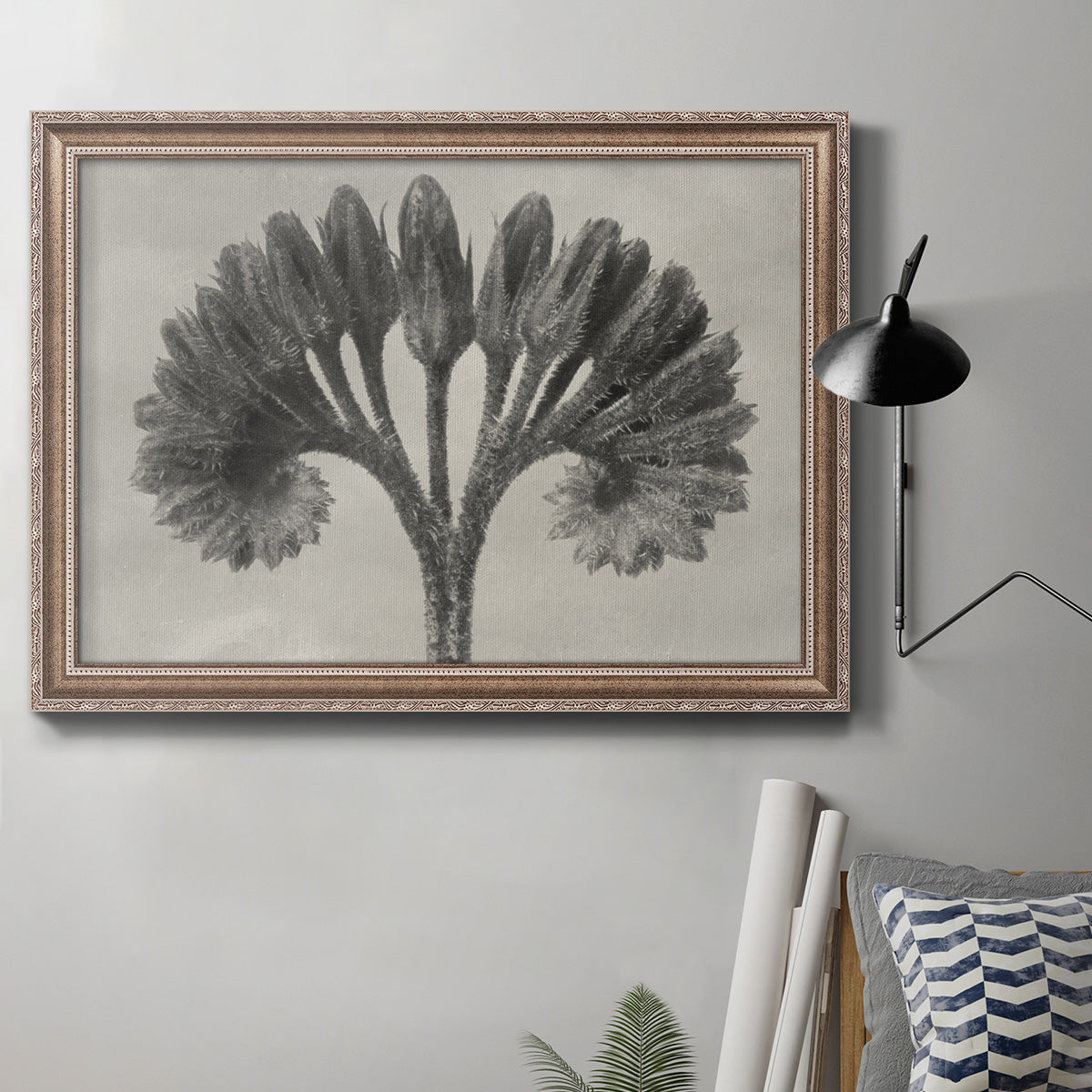 Vintage botanical plant study photograph by Karl Blossfeldt in an ornate traditional silver frame displayed in a neutral interior setting.