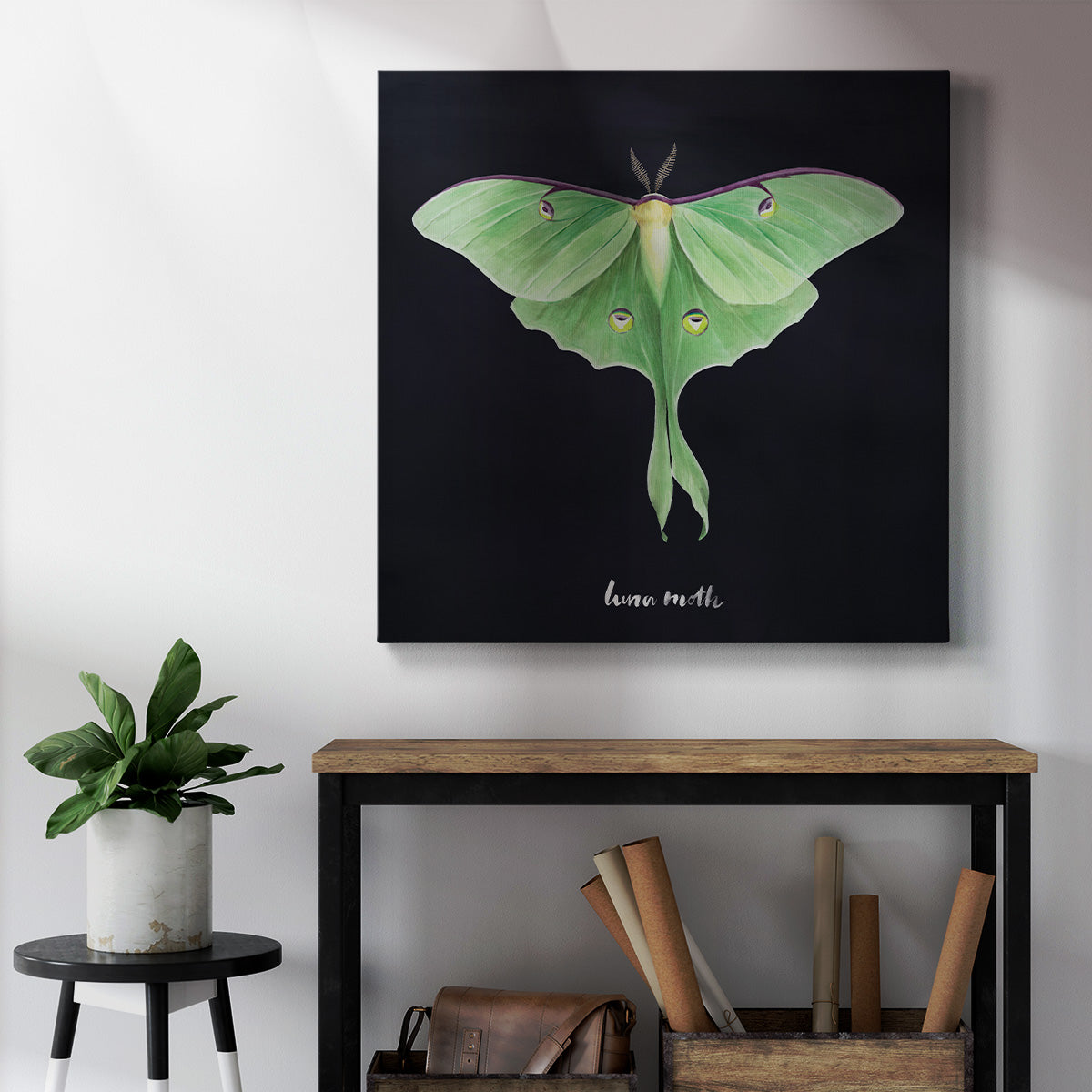 Luna Moth I - Canvas Art Print