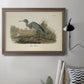 Audubons Blue Heron Premium Framed Canvas- Ready to Hang