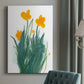 Daffodil Bunch I - Canvas Art Print