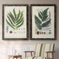 Set of two black barnwood framed canvas prints depicting two natural-history fern plates featuring vintage fern specimens with botanical details above a sideboard in a cozy sitting room.