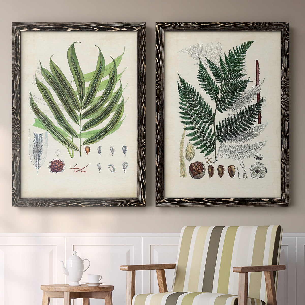 Set of two black barnwood framed canvas prints depicting two natural-history fern plates featuring vintage fern specimens with botanical details above a sideboard in a cozy sitting room.