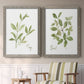 Herb Sage - Premium Framed Canvas 2 Piece Set - Ready to Hang