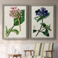 Set of two gray barnwood framed canvas prints depicting two antique botanical plate illustrations featuring colorful flowering plant specimens above a sideboard in a cozy sitting room.