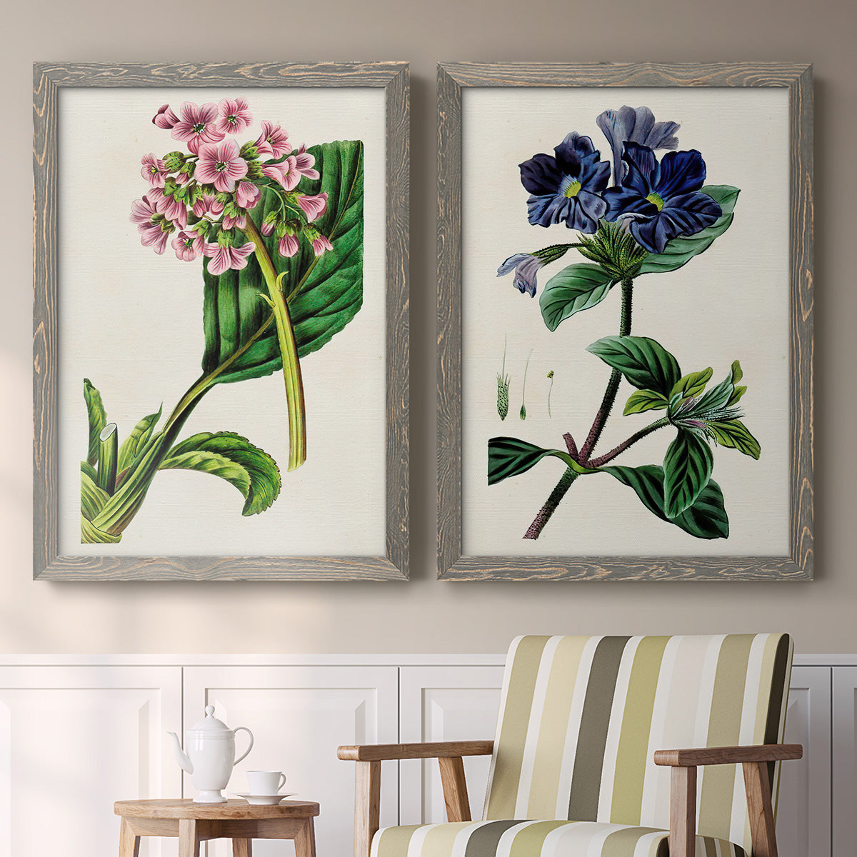 Set of two gray barnwood framed canvas prints depicting two antique botanical plate illustrations featuring colorful flowering plant specimens above a sideboard in a cozy sitting room.
