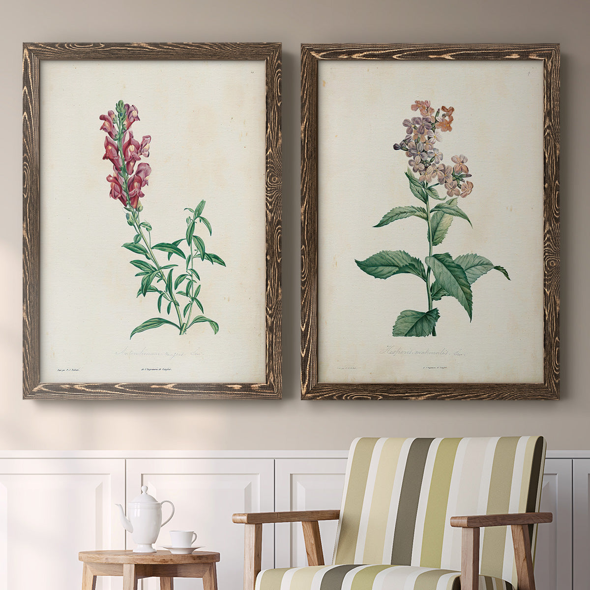 Set of two walnut barnwood framed canvas prints depicting two vintage botanical studies of flowering stems with detailed green leaves on aged cream paper above a sideboard in a cozy sitting room.