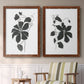Set of two maple barnwood framed canvas prints depicting two minimalist botanical prints featuring black leafy vine silhouettes above a sideboard in a cozy sitting room.