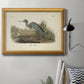 Audubons Blue Heron Premium Framed Canvas- Ready to Hang