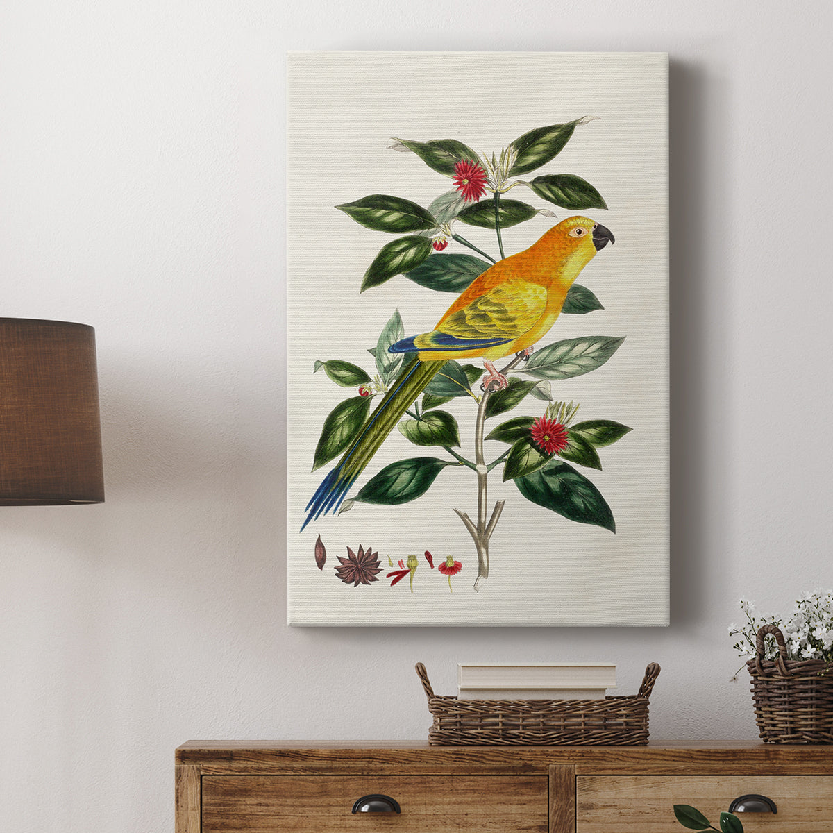 Solstice Parrot, 1796 - Canvas Art Print
