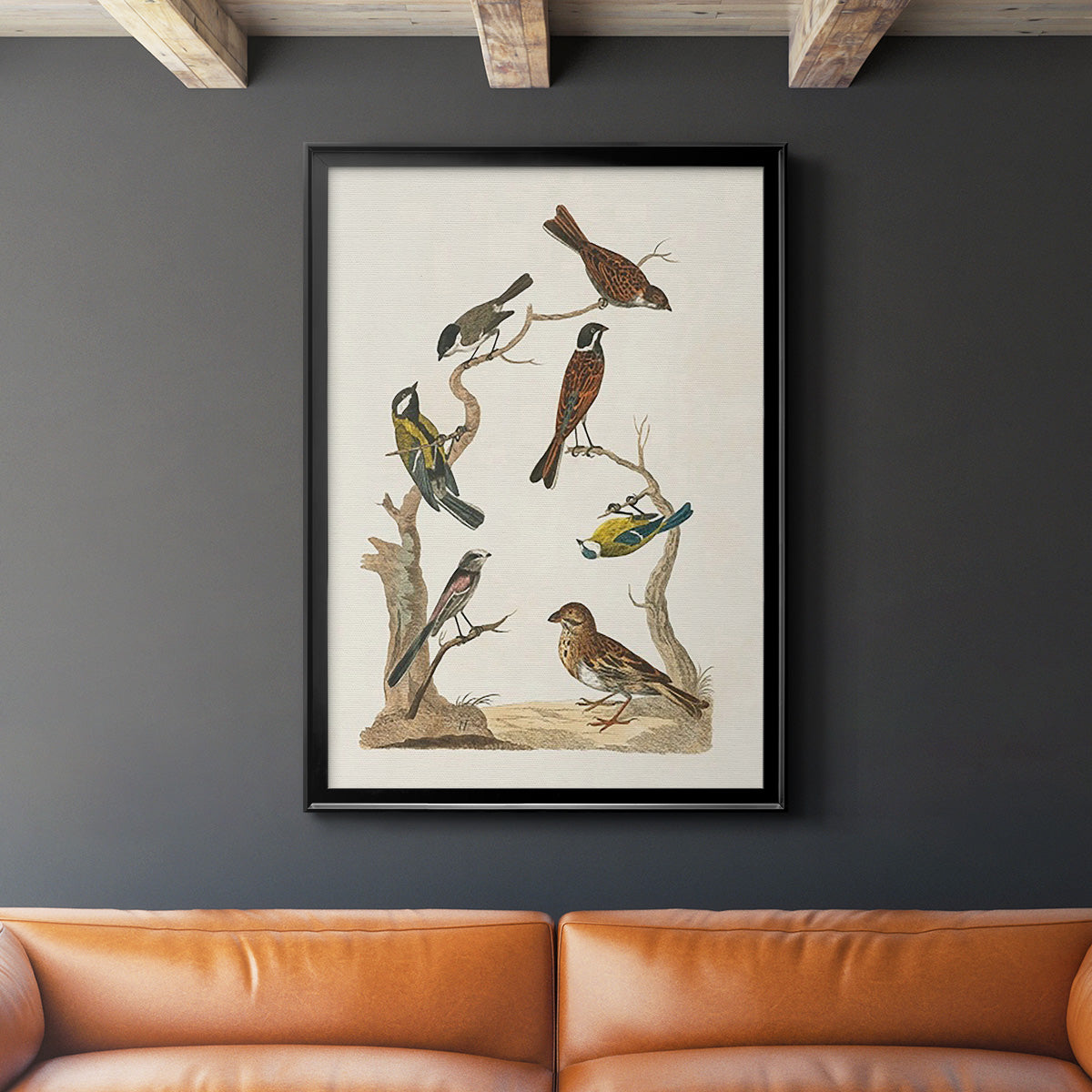 Antique Birds in Nature II - Modern Framed Canvas Print