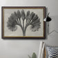 Vintage botanical plant study photograph by Karl Blossfeldt in an ornate mahogany wood frame with gold liner displayed in a neutral interior setting.