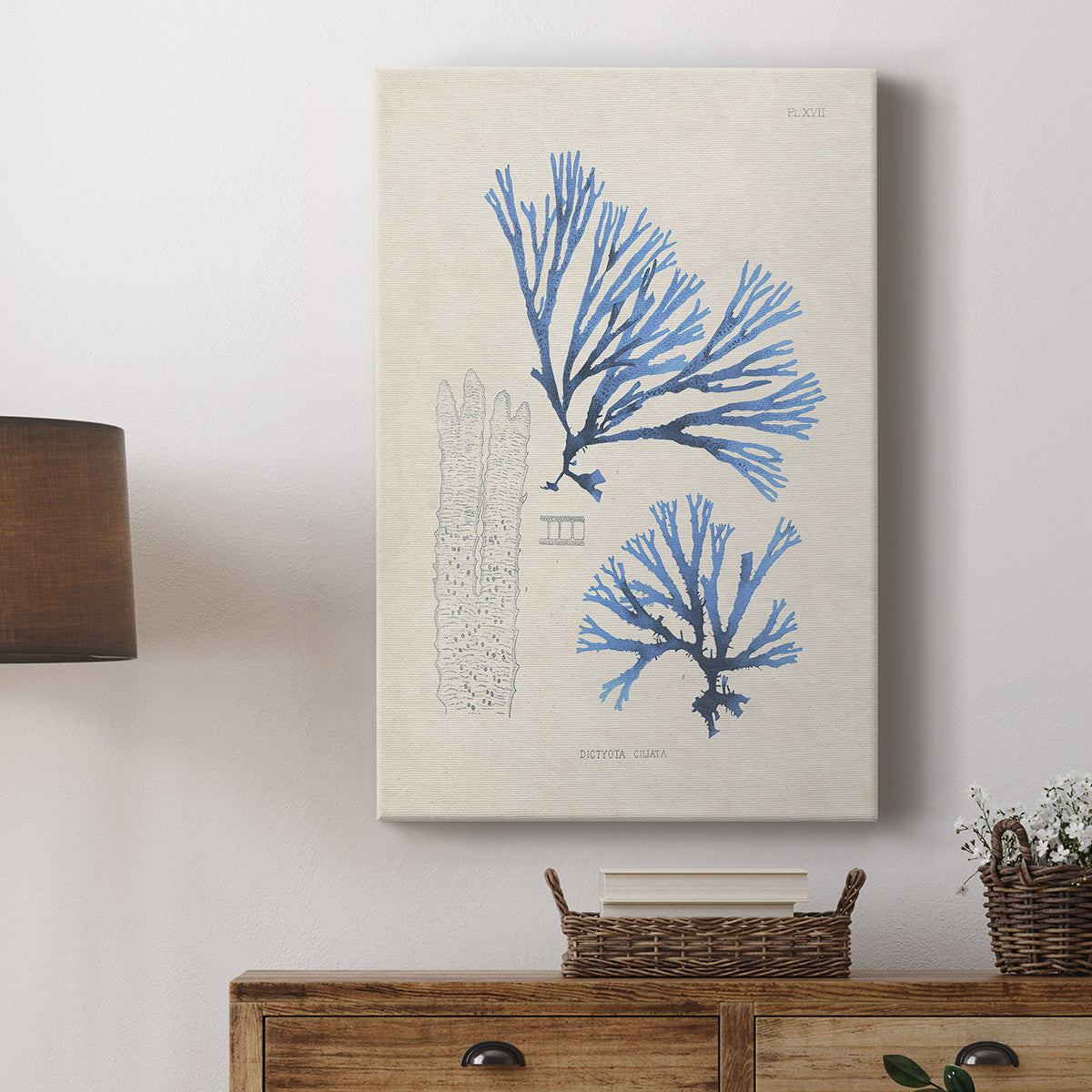 Blue Marine Algae V - Canvas Art Print