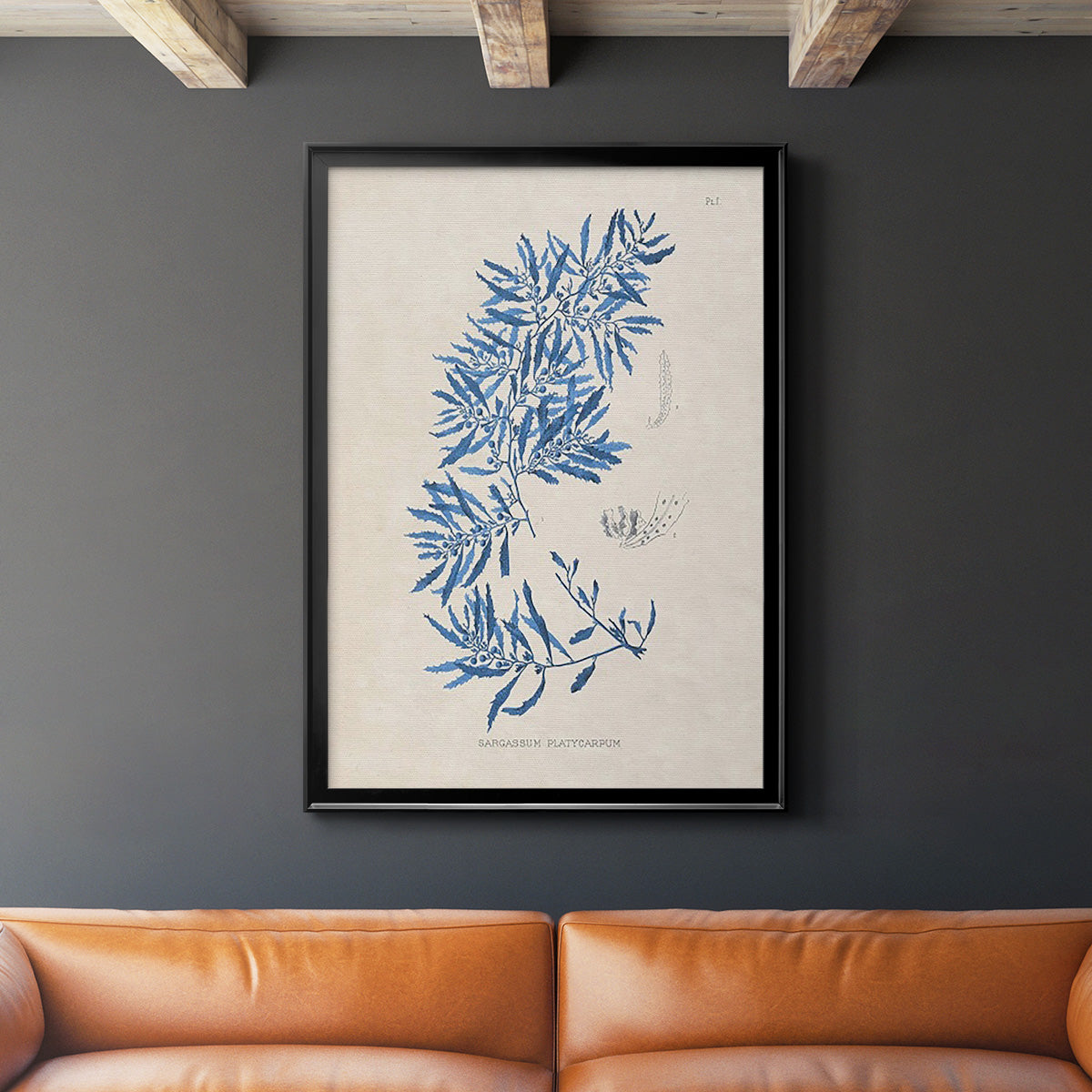 Blue Marine Algae III - Modern Framed Canvas Print