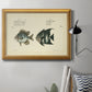 Bloch Antique Fish II Premium Framed Canvas- Ready to Hang