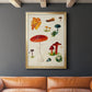 Mushroom Species VIII - Modern Framed Canvas Print